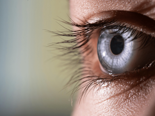 Close-up of a blue eye with prominent eyelashes and detailed iris patterns.
